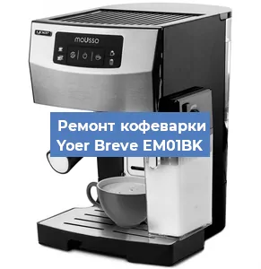 Замена прокладок на кофемашине Yoer Breve EM01BK в Тюмени